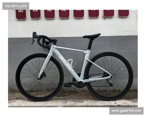 喜德盛AD350智能公路车欧洲订单激增 自研功率计技术突破助力核心竞争力提升 喜德盛AD350智能公路车欧洲订单激增 自研功率计技术突破助力核心竞争力提升